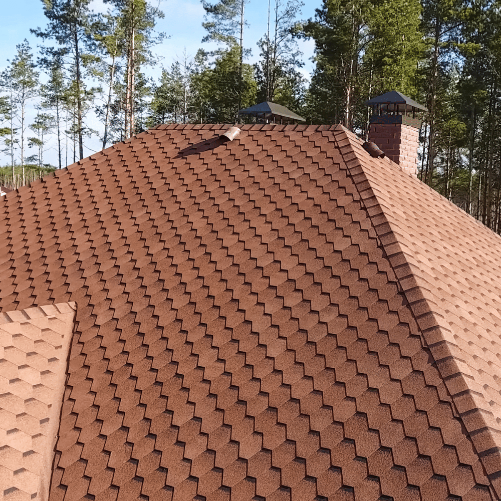 Professional roofing and exterior services by X Services